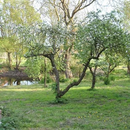 Caselow 23 Holiday home Bergholz
