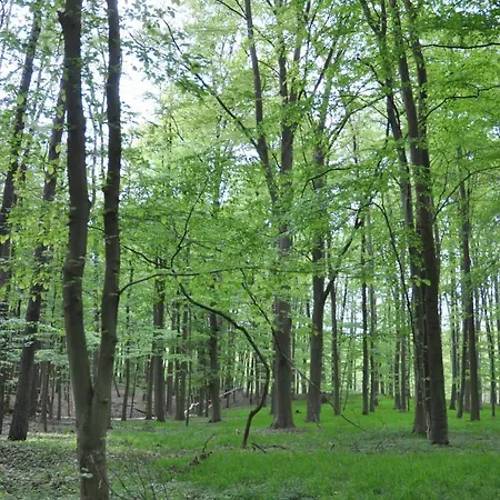 Caselow 23 펜션 Bergholz