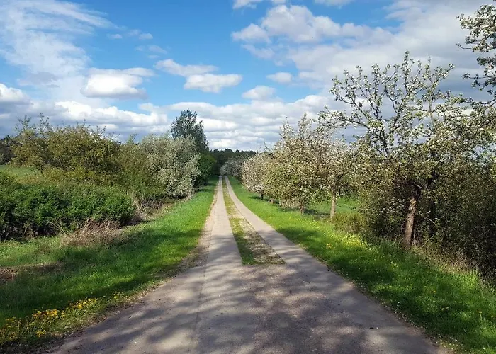 Caselow 23 Ferienhaus *