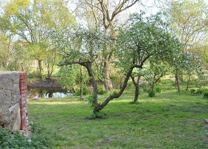 Caselow 23 Ferienhaus Bergholz