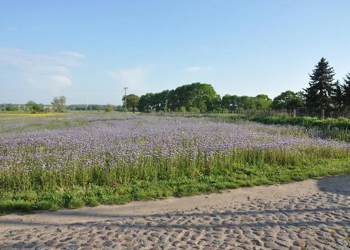 Ferienhaus Caselow 23 Bergholz