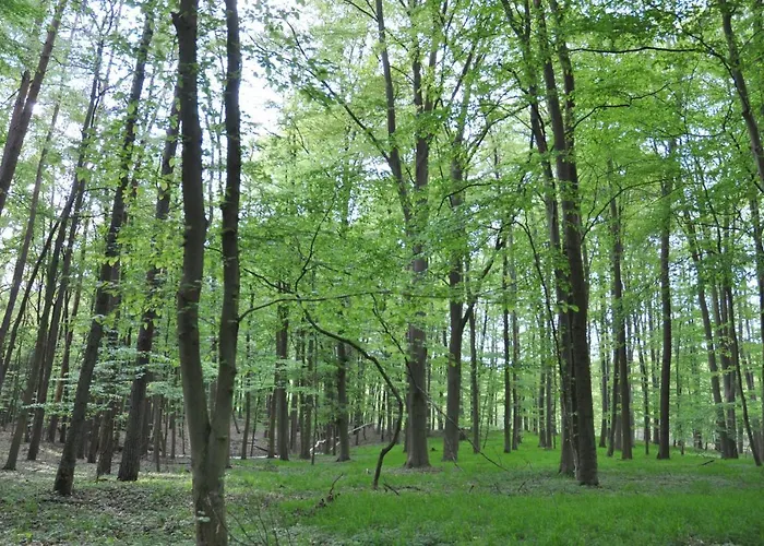 Caselow 23 Ferienhaus Bergholz